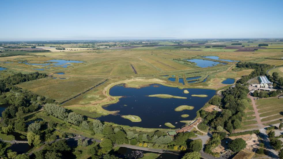 WWT Martin Mere from above